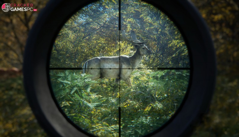 Download theHunter: Call of the Wild